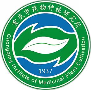 助手头像